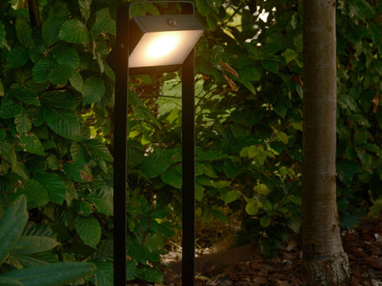 Lampe solaire à piquet Saulio LED noire Nordlux