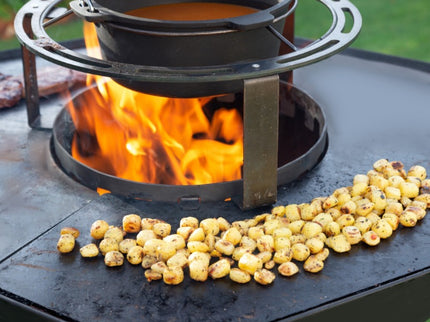Brasero plancha Nestor noir acier Barbecook