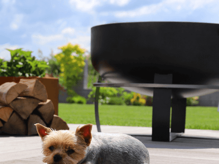 CookKing vuurschaal Viking XXL 80 cm sfeerfoto met hond
