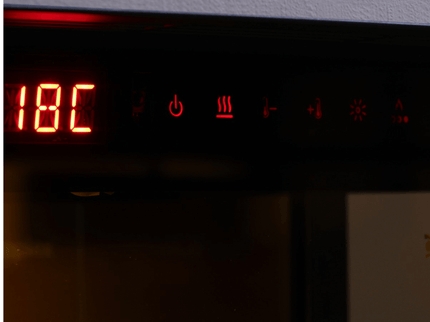 Dimplex Ignite Evolve Detail handbediening