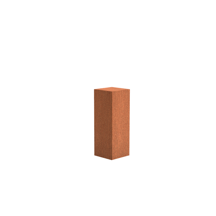 CK11 (300 x 300 x 800)