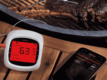 HerQs vleesthermometer EasyBBQ