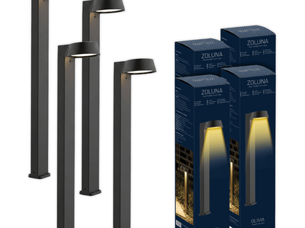 Pack promo ZOLUNA 4x lampe solaire à piquet Olivia