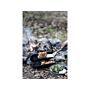 Spatule Flexible Petromax Longue
