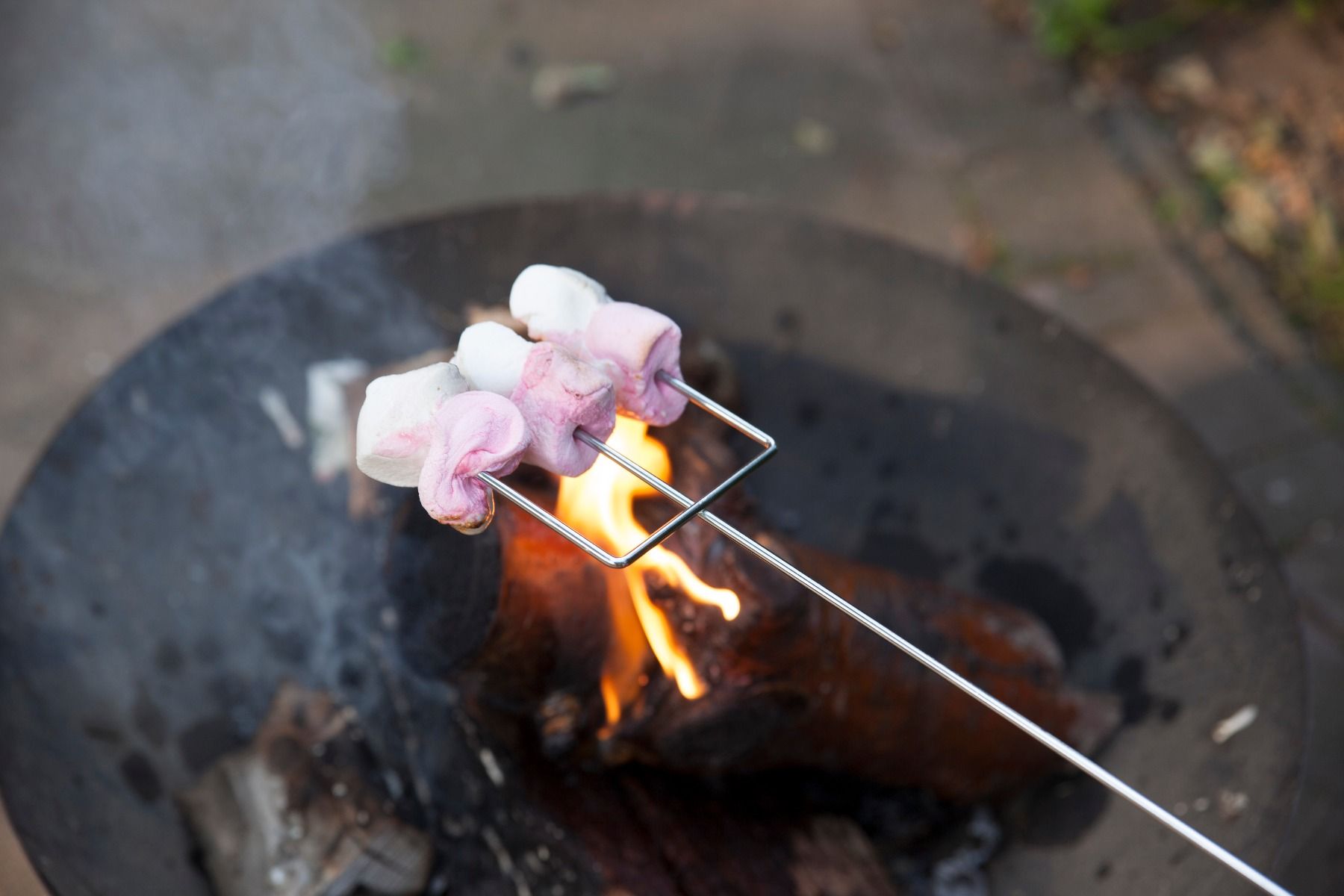 Brochette à guimauve Esschert (vendue à la pièce)