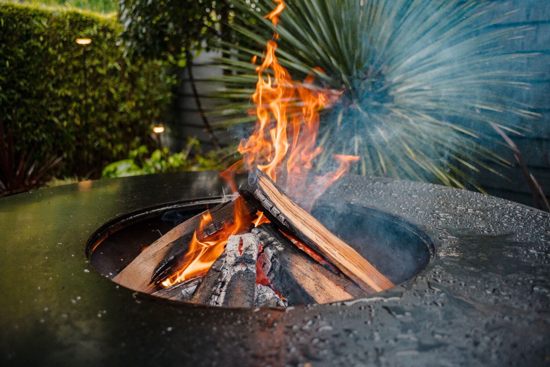 Brasero plancha Seare Halo acier corten FORNO