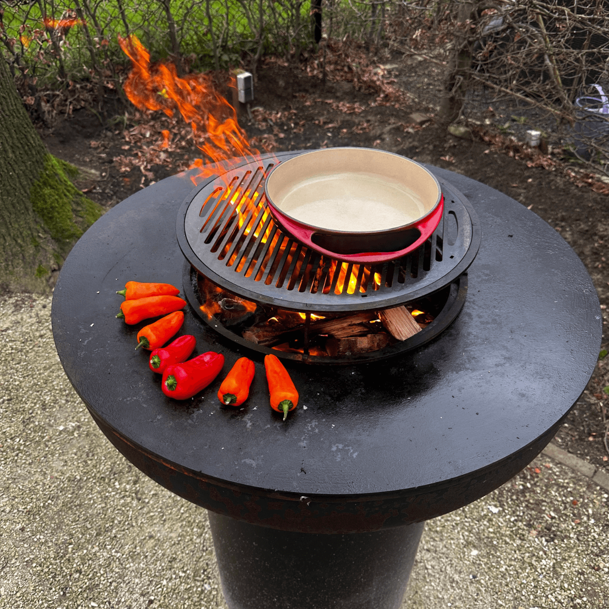 Grill BonFeu pour Standard 
