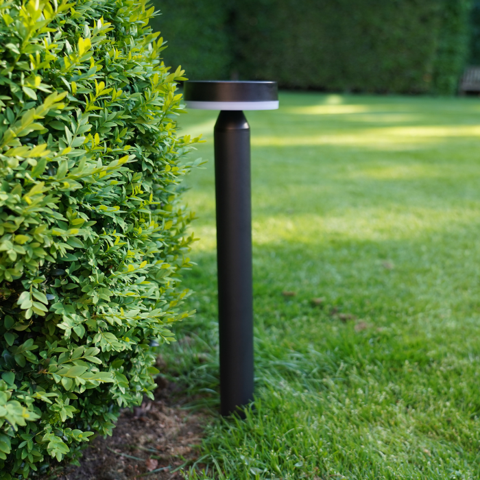 ZOLUNA Lampe Solaire à Piquet Guus
