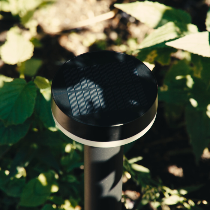ZOLUNA Lampe Solaire à Piquet Guus