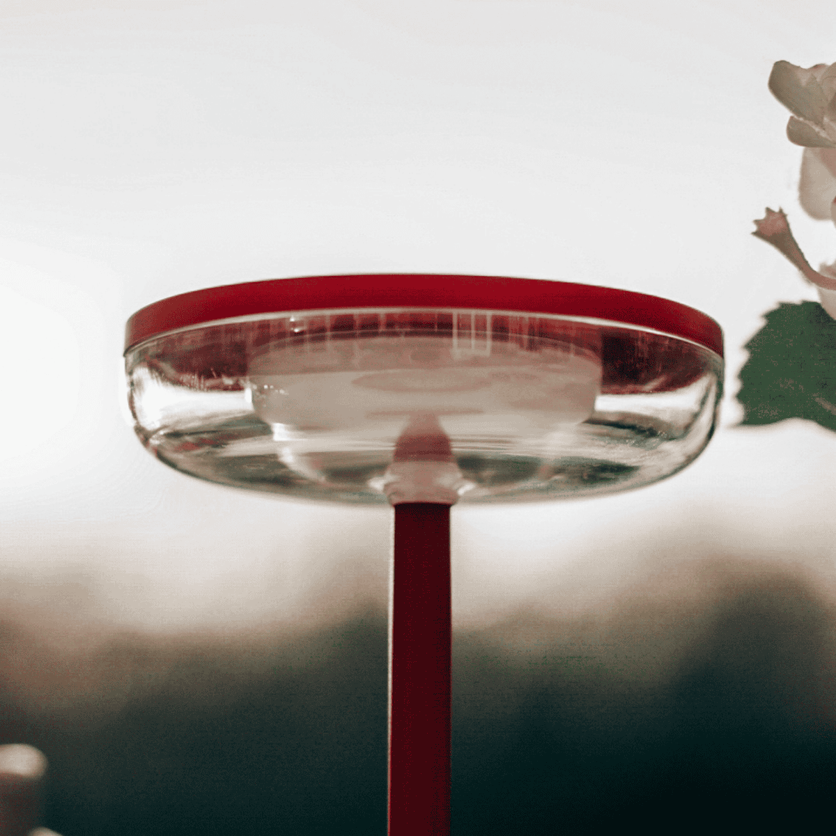 Lampe solaire de table Bobbie rouge ZOLUNA