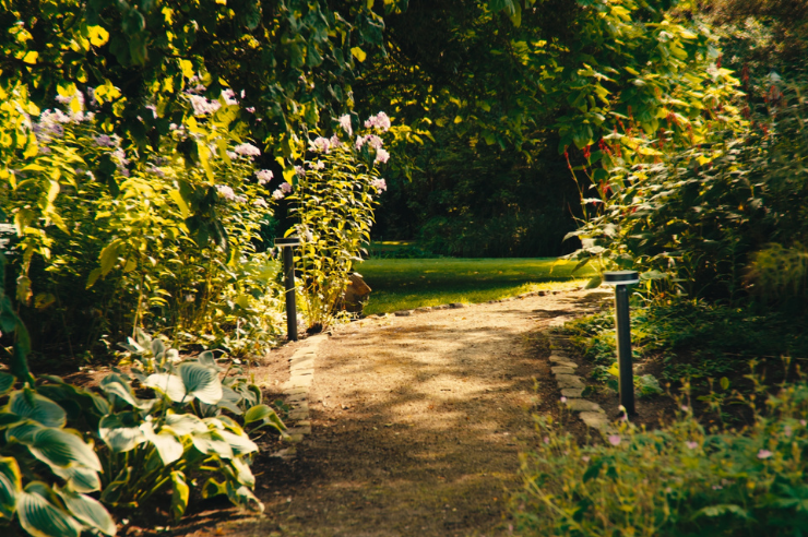 Préparer son jardin pour le printemps